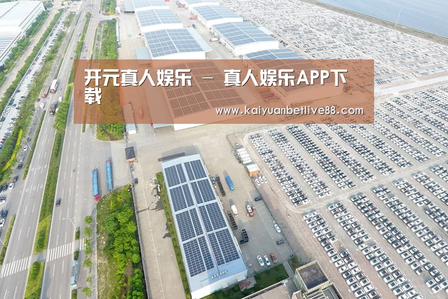 案例展示一