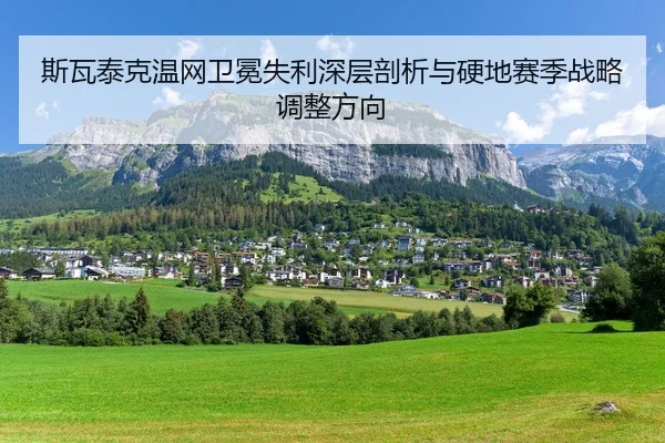 si-wa-tai-ke-wen-wang-wei-mian-shi-li-shen-ceng-pou-xi-yu-ying-di-sai-ji-zhan-lve-tiao-zheng-fang-xiang-3-412.jpg