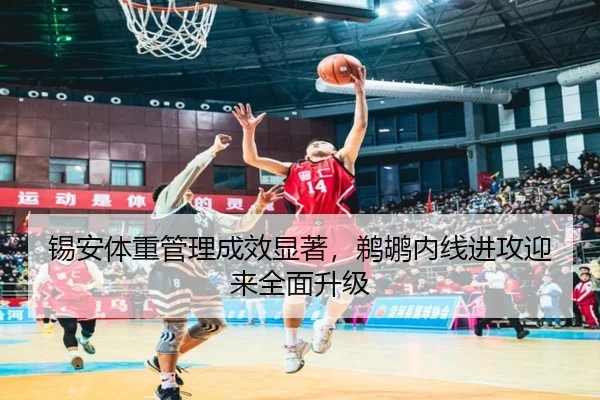 锡安体重管理成效显著，鹈鹕内线进攻迎来全面升级