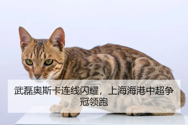 wu-lei-ao-si-ka-lian-xian-shan-yao-shang-hai-hai-gang-zhong-chao-zheng-guan-ling-pao-2-309.jpg