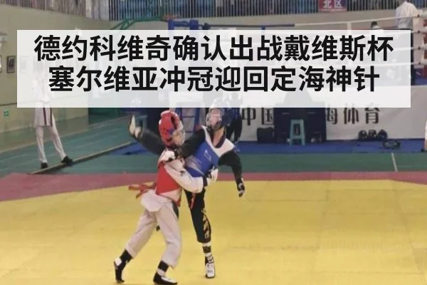 德约科维奇确认出战戴维斯杯 塞尔维亚冲冠迎回定海神针